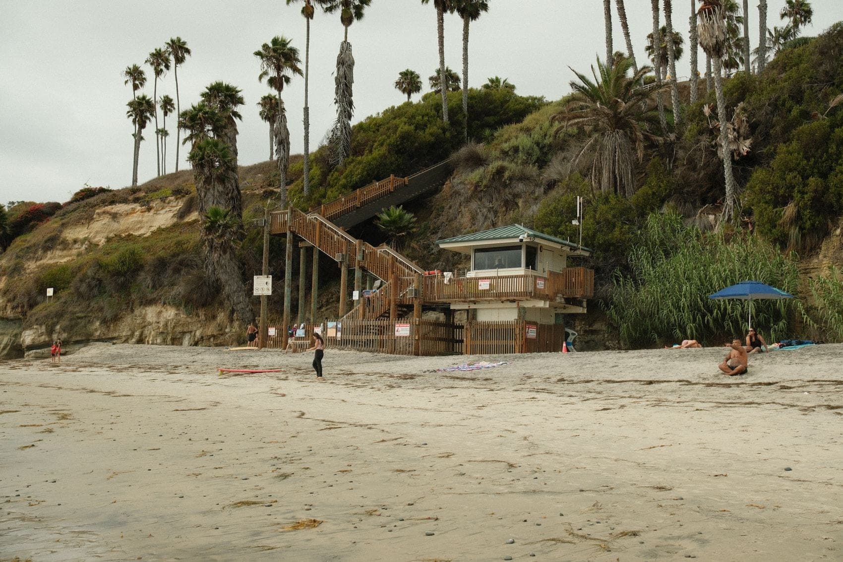A beach backed by a steep bluff of palm trees, with a wooden lifeguard tower and stairway leading up from the sand.